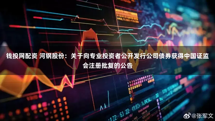 钱投网配资 河钢股份：关于向专业投资者公开发行公司债券获得中国证监会注册批复的公告